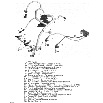 10- Engine Harness And Electronic Module
