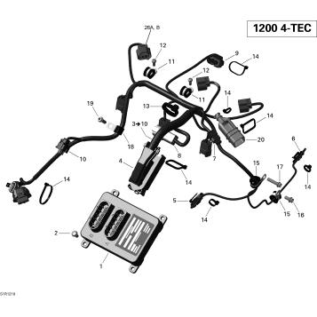 10- Engine Harness And Electronic Module
