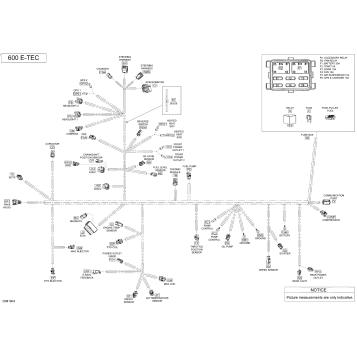 10- Electrical Harness 600 HO E-TEC