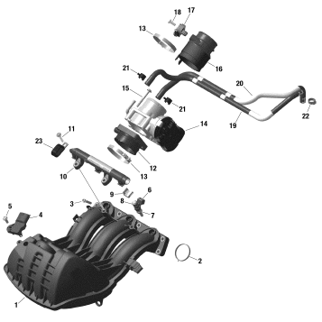 01- ROTAX - Air Intake Manifold And Throttle Body