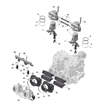 01- ROTAX - Electronic Fuel Injection