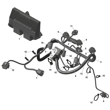 01- ROTAX - Engine Harness And Electronic Module