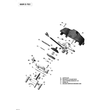 01- Rave Valve - 800R E-TEC