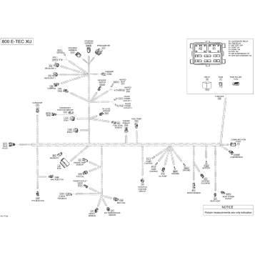 10- Electrical Harness - 800R E-TEC