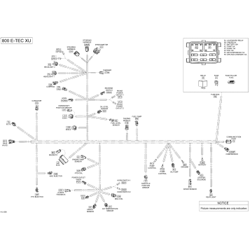 10- Electrical Harness - 800 E-TEC