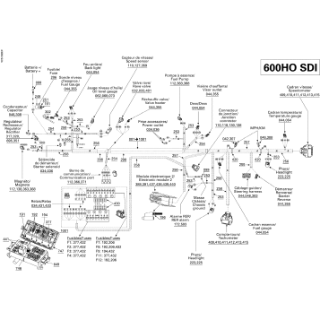 10- Electrical Harness 600HO SDI