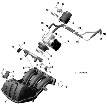 01- Engine - Air Intake Manifold And Throttle Body