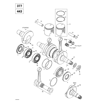 01- Crankshaft (377, 443)