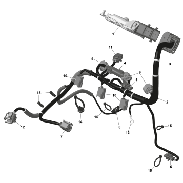 01- ROTAX - Engine Harness And Electronic Module