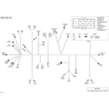 10- Electrical Harness - 900 ACE