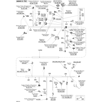 10- Electrical Harness 600 HO