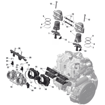 01- ROTAX - Electronic Fuel Injection