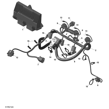 01- Rotax - Engine Harness And Electronic Module
