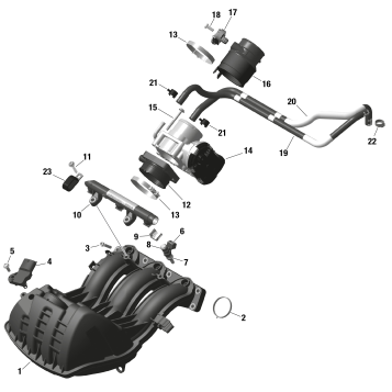 01- ROTAX - Air Intake Manifold And Throttle Body