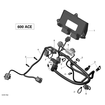 10- Engine Harness and Electronic Module - 600 ACE