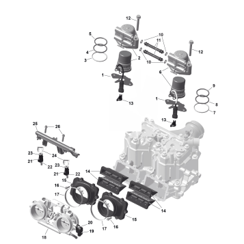 01- ROTAX - Electronic Fuel Injection