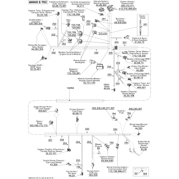 10- Electrical Harness 600 HO