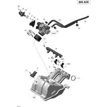 02- Air Intake Manifold And Throttle Body