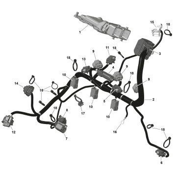 01- ROTAX - Engine Harness And Electronic Module
