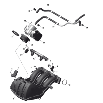 01- ROTAX - Air Intake Manifold And Throttle Body