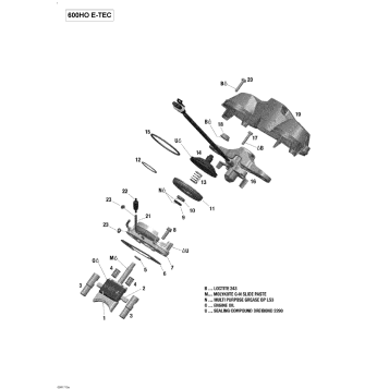 01- Rave Valve - 600HO E-TEC