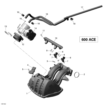 02- Air Intake Manifold and Throttle Body - 600 ACE