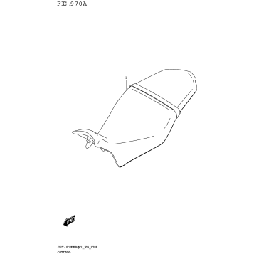 OPTIONAL (GSX-S1000SRQ:M2)