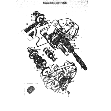 TRANSMISSION-DRIVE CHAIN