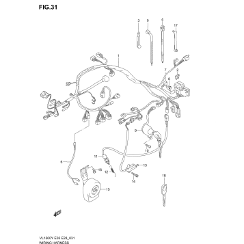 WIRING HARNESS (MODEL W/X)