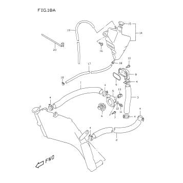 RADIATOR HOSE (MODEL W/X)
