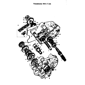 TRANSMISSION-DRIVE CHAIN