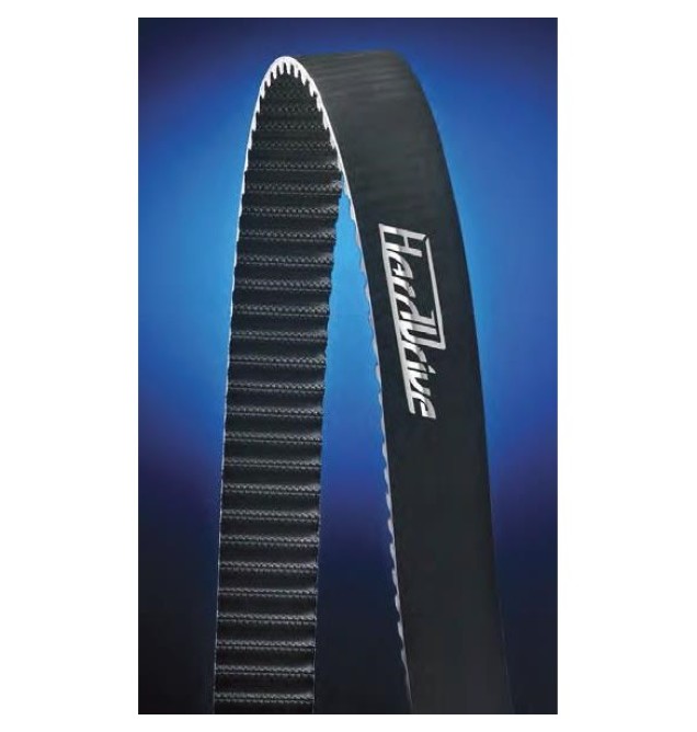 REAR DRIVE BELT