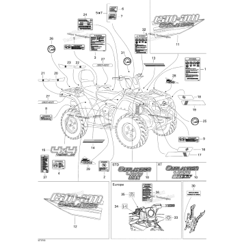 DECALS STD