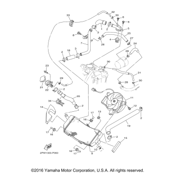 RADIATOR HOSE