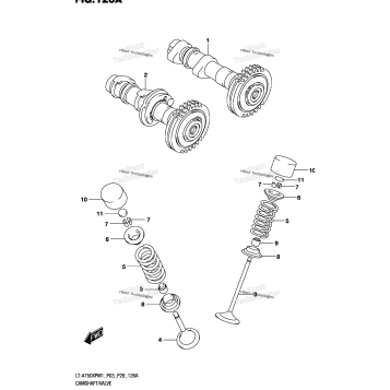 CAMSHAFT/VALVE