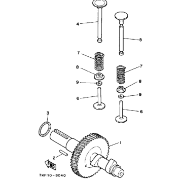 CAMSHAFT - VALVE