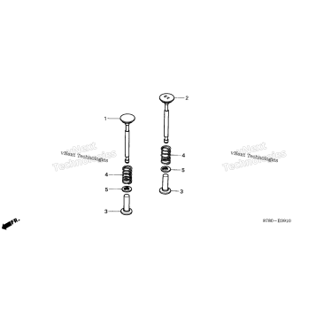 VALVE + VALVE SPRING