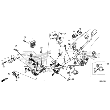 WIRE HARNESS (1)