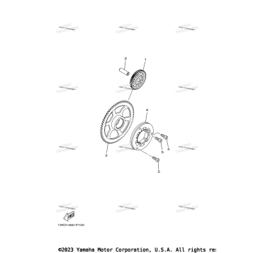 STARTER CLUTCH