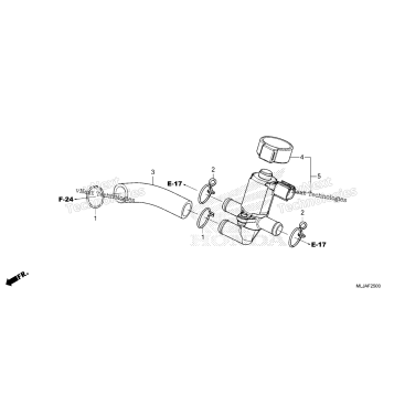 AIR INJECTION VALVE