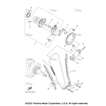 CAMSHAFT & CHAIN
