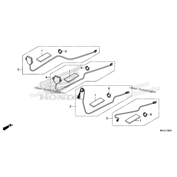 ANTENNA SET@CORD SET