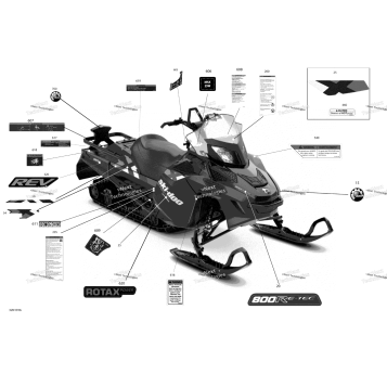 DECALS - XTREME