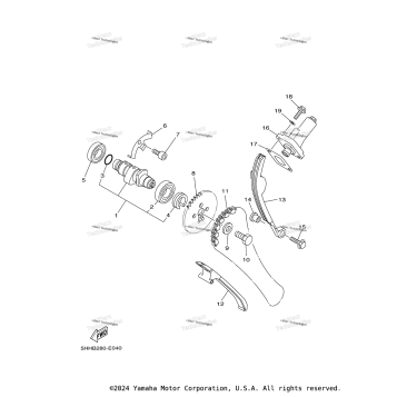 CAMSHAFT & CHAIN