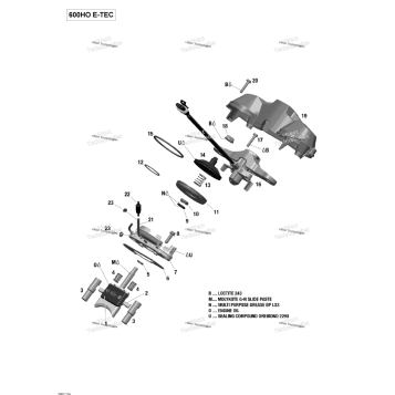 RAVE VALVE - 600HO E-TEC