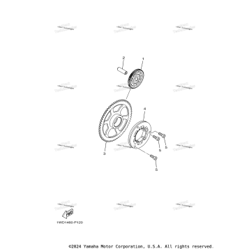 STARTER CLUTCH