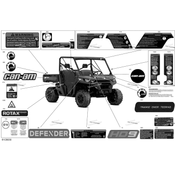 BODY - DECALS