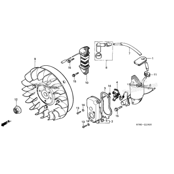 FLYWHEEL + IGNITION COIL