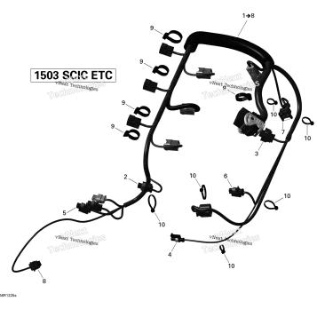 ENGINE HARNESS 1_SEA-DOO