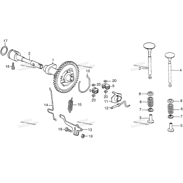 CAMSHAFT + GOVERNOR ARM